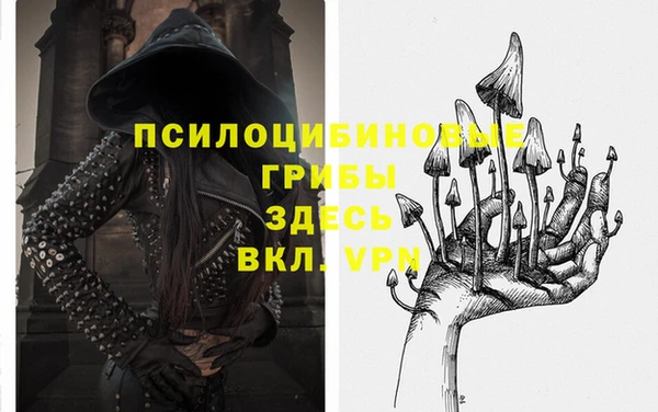 стафф Белокуриха