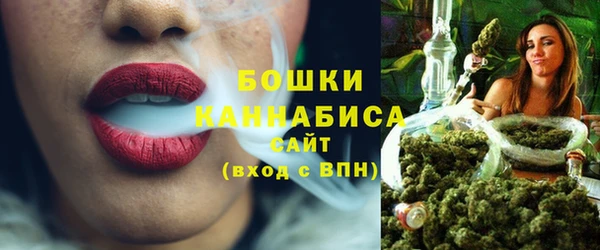 твердый Богданович