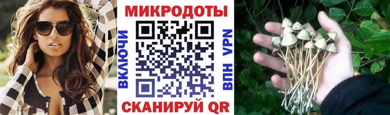 сколько стоит  ссылка на мегу рабочий сайт  Псилоцибиновые грибы MAGIC MUSHROOMS  Будённовск 